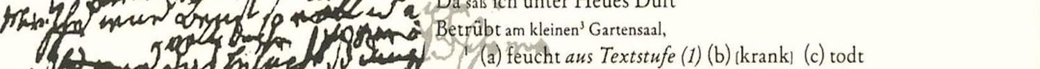 Ausschnitt, Buchcover: Transformationen. Texte und Kontexte zum Abschluss der Hist.-kritischen Droste-Ausgabe. Hg. von Ortrun Niethammer.