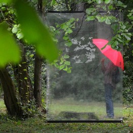 Person mit Regenschrim neben Baum